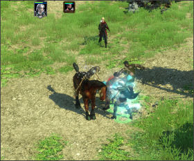 Wonder around killing all Skeletons and Revenants - Norimar (2) | Chapter: Nightsong and the Message for the King - Chapter: Nightsong and the Message for the King - Spellforce 2: Shadow Wars Game Guide