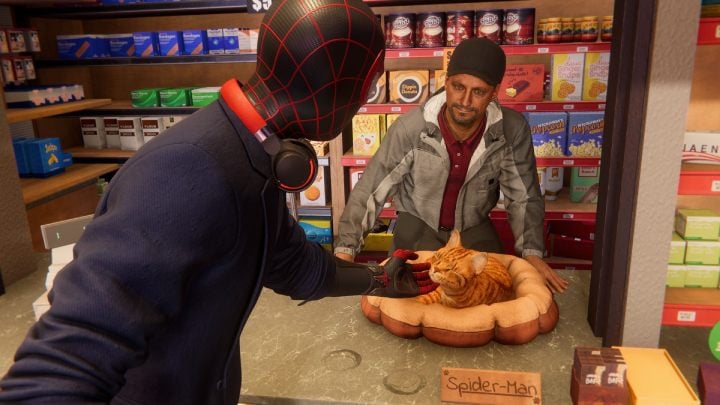 In this quarter you will find 6 side missions from the FNSM app - Spider-Man Miles Morales: Harlem - map, location and collectibles - World Atlas - Spider-Man Miles Morales Guide