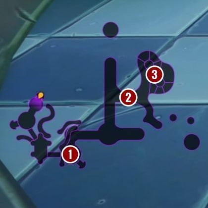 Where - Dragons | Secrets & Curios in Spyro Reignited Trilogy - Secrets & Curios - Spyro Reignited Trilogy Guide