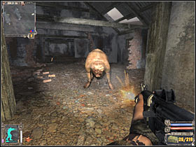 7 - There are a few buildings here - Detailed map - Cordon - S.T.A.L.K.E.R.: Shadow of Chernobyl - Game Guide and Walkthrough