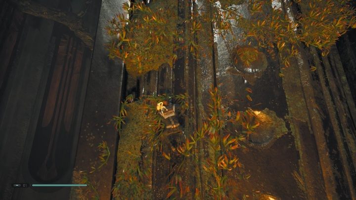 When you jump off the vine, grab the plants on the wall - Tomb of Miktrull | Jedi Fallen Order Tombs - Tombs - Star Wars Jedi Fallen Order Guide