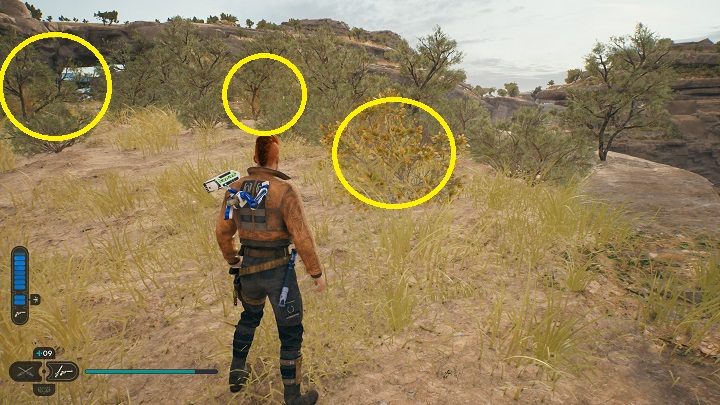 10 - Jedi Survivor: Untamed Downs - list of secrets (part 1) - Koboh - Star Wars Jedi Survivor guide