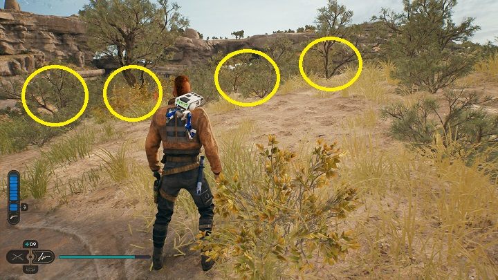 11 - Jedi Survivor: Untamed Downs - list of secrets (part 1) - Koboh - Star Wars Jedi Survivor guide