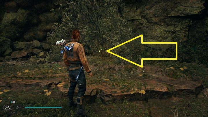 5 - Jedi Survivor: Nekko Pools - list of secrets - Koboh - Star Wars Jedi Survivor guide