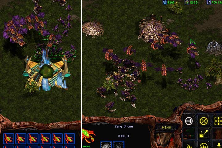 The first enemy base can be easily destroyed by a group of Mutalisks. Build a Hatchery here and start extracting raw materials. Also, fortify this position. - Misja 9 - The Invasion of Aiur | Zerg | Campaign Walkthrough - Zerg - StarCraft: Remastered Game Guide