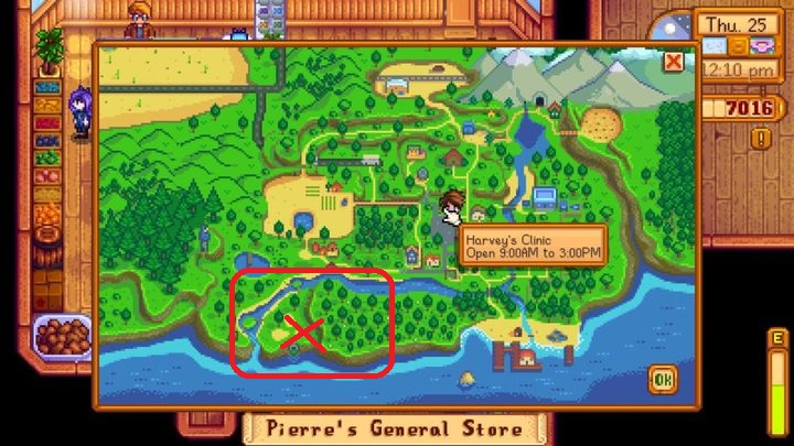 Check out close to X, near the wall. - Puzzles, secrets, collectibles and missions | Quick start - Quick start - Stardew Valley Game Guide