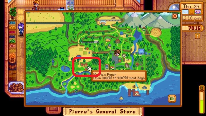 This quest starts after the cutscene - Puzzles, secrets, collectibles and missions | Quick start - Quick start - Stardew Valley Game Guide