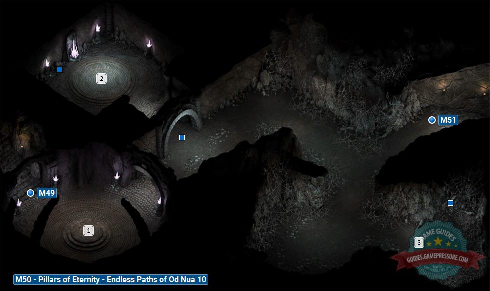 Endless Paths of Od Nua Level 13 - M53, Pillars of Eternity - Pillars of  Eternity Game Guide & Walkthrough