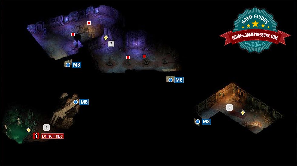 Pillars Of Eternity 2 Engwithan Digsite Ruin Interior Map