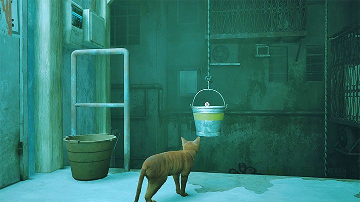 You can, among other things, optionally scratch the carpet in the apartment - Stray: Dead City, Chapter 2 - walkthrough - Walkthrough - Stray Guide, Walkthrough