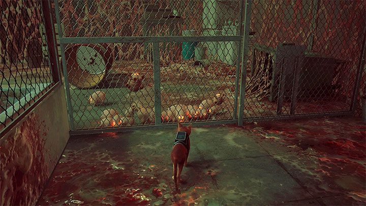 Passing through some locations may require outsmarting and trapping Zurks, e - Stray: Combat and Stealth - Zurks and Sentinels - Basics - Stray Guide, Walkthrough