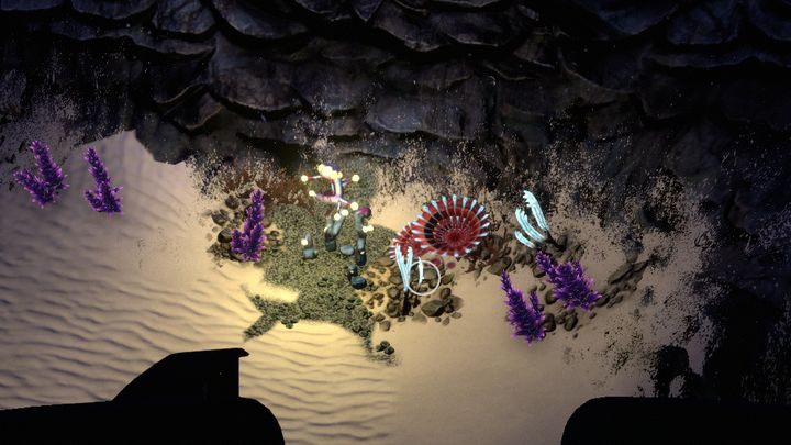 The plants found in the caves of this biome. - Subnautica: Sparce Reef - biome guide - Biomes - Subnautica Game Guide