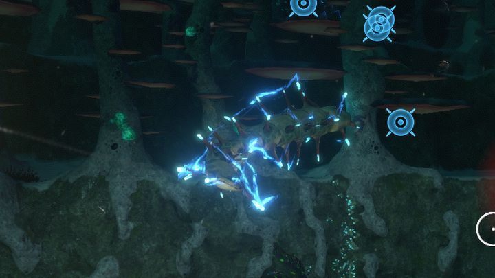 Ampeel found on the border of Mushroom Forest and Bulb Zone. - Subnautica: Mushroom Forest - biome guide - Biomes - Subnautica Game Guide