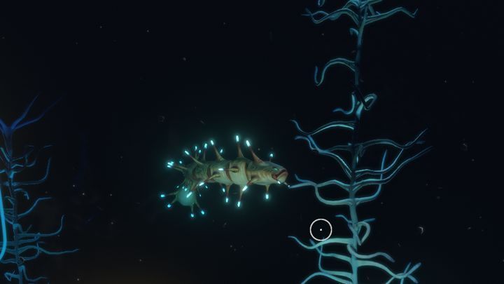 Blood Kelp Caves are a biome in which you should establish a base - Subnautica: Blood Kelp Caves - biome guide - Biomes - Subnautica Game Guide