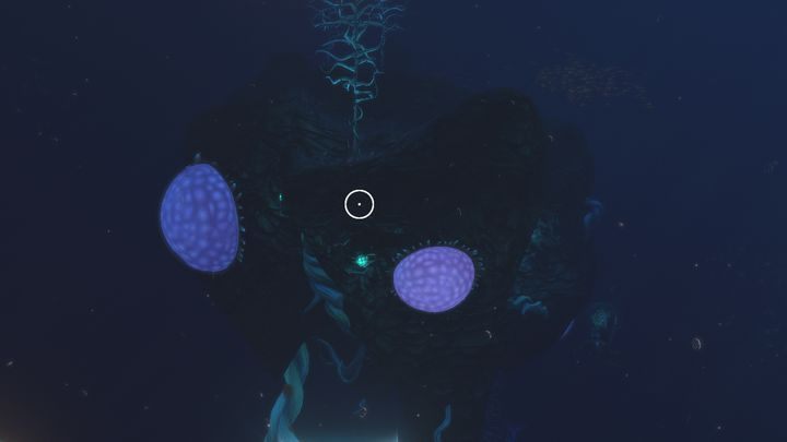 One of the underwater islands found in this area. - Subnautica: Blood Kelp Zone - biome guide - Biomes - Subnautica Game Guide