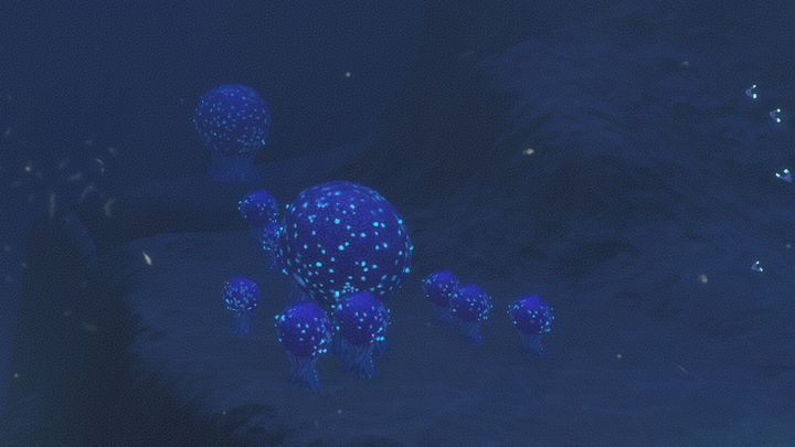 The zone is characterized by a large presence of Bulbo Trees - Subnautica: Bulb Zone - biome guide - Biomes - Subnautica Game Guide