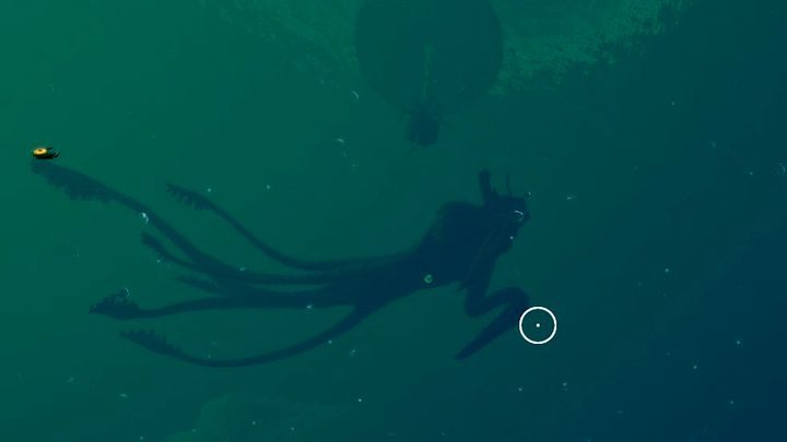 The whole biome in a nutshell - a Lilypad plant and a Sea Emperor Leviathan. - Subnautica Below Zero: Lilypad Islands - biome guide - Biomes - Subnautica Game Guide