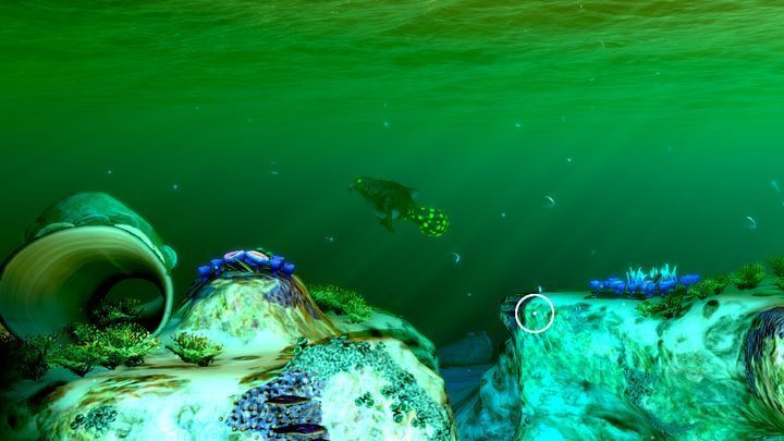 1 - Subnautica: Safe Shallows - biome guide - Biomes - Subnautica Game Guide