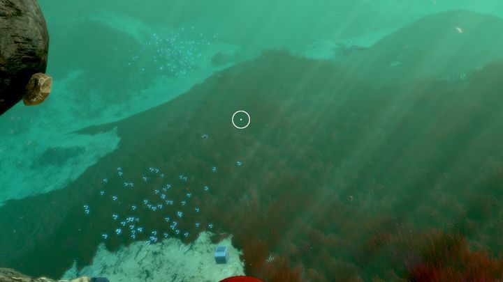 Near the surface you can encounter Reefbacks - Subnautica: Grassy Plateaus - biome guide - Biomes - Subnautica Game Guide