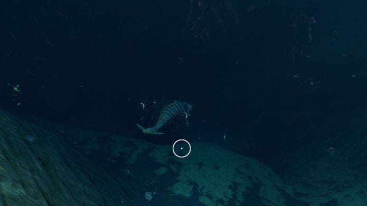 A Boneshark. - Subnautica Below Zero: Delta Island and Thermal Spires - biome guide - Biomes - Subnautica Game Guide