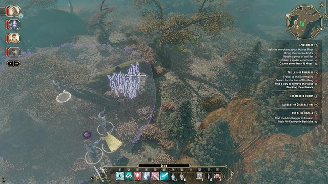 You must collect three ingredients: Venom Sack, which can be extracted from the bodies of dead spiders (M8, Spiders), Troll Fat, which, obviously, can be collected from the bodies of dead trolls (M8, Trolls) and a plant, Id Moss, which can be found near the trolls cavern (M8, Id Moss) - The Lair of Rhylfang - Main quest | Neverwinter Wood / Evermoors Walkthrough - Neverwinter Wood / Evermoors - Sword Coast Legends Game Guide