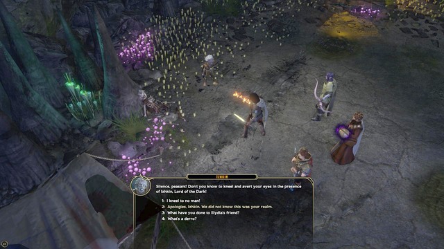 After you get there, search the camp - Into Eternal Night - Main quest | Forlorn Cliffs / Darklake District Walkthrough - Forlorn Cliffs / Darklake District - Sword Coast Legends Game Guide