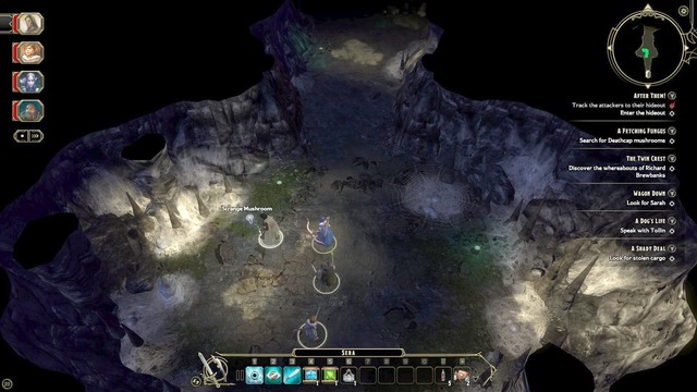 Talk with the alchemist, Aleema Meddlebrook - Side quests | The High Road Walkthrough - The High Road - Sword Coast Legends Game Guide