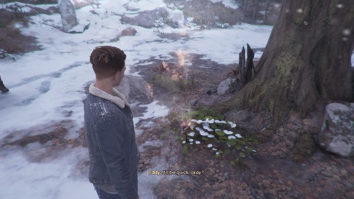 Before you move on, you need to find the grave of the DeLeon family - Tell Me Why: Cemetery, walkthrough - Chapter 2 Family Secrets - Chapter 2 Family Secrets - Tell Me Why Guide, Walkthrough