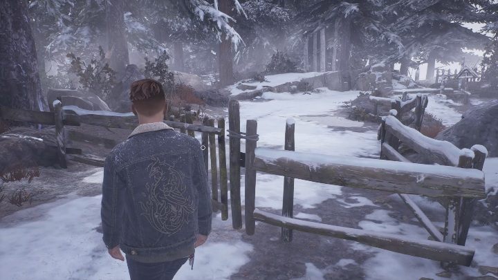 After finding the grave, open the gate to the next part of the cemetery - Tell Me Why: Cemetery, walkthrough - Chapter 2 Family Secrets - Chapter 2 Family Secrets - Tell Me Why Guide, Walkthrough