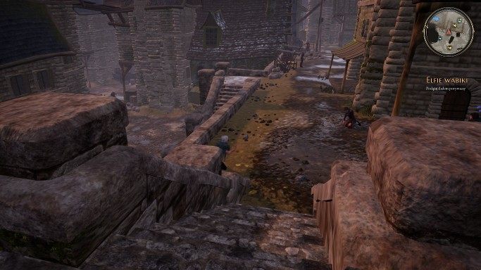 In order to open the doors that you will find along your way, the gears should be arranged as shown in the following picture - Elven Wiles | The Bards Tale 4 Main Quest Walkthrough - Main Quests - The Bards Tale 4 Game Guide