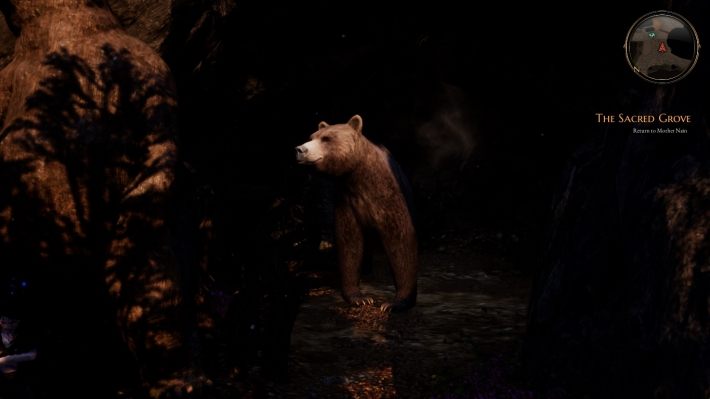 Go back to Naina, Fichtis commander - The Sacred Grove | The Bards Tale 4 Main Quest Walkthrough - Main Quests - The Bards Tale 4 Game Guide