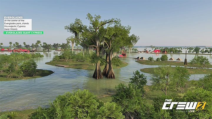 Description: At the center of the Everglades park, stands this majestic Cypress (near Miami) - The Crew 2: Album - Off-Roadin - The Crew 2: Photo Ops - The Crew 2 Game Guide