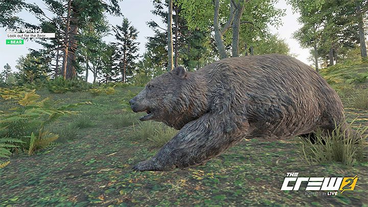 Description: Look out for the bear - The Crew 2: Album - Off-Roadin - The Crew 2: Photo Ops - The Crew 2 Game Guide