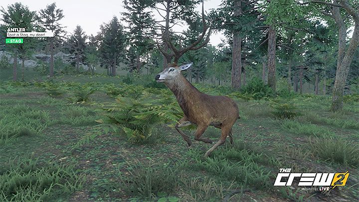 Description: Spot a Stag, my deer - The Crew 2: Album - Off-Roadin - The Crew 2: Photo Ops - The Crew 2 Game Guide