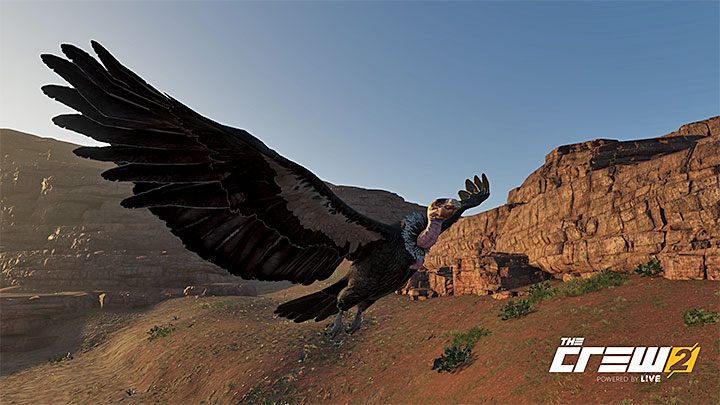 Description: Capture the splendor of the Condor - The Crew 2: Album - Off-Roadin - The Crew 2: Photo Ops - The Crew 2 Game Guide