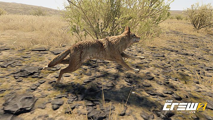 Description: As wild as it might get, this one wont ask for a tip - The Crew 2: Album - Off-Roadin - The Crew 2: Photo Ops - The Crew 2 Game Guide