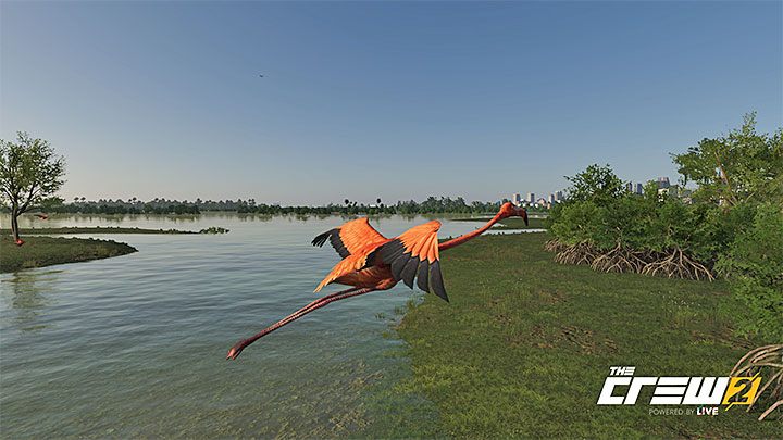 Description: Pink seems to be the new obsession - The Crew 2: Album - Off-Roadin - The Crew 2: Photo Ops - The Crew 2 Game Guide