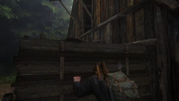 Follow Yara - she will be your guide and you can explore other parts of the island - The Last of Us 2: The Island, Seattle Day 3 Abby walkthrough - Seattle Day 3 - Abby - The Last of Us 2 Guide