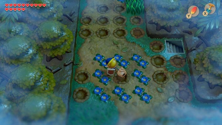 11 - Secret Seashells in Links Awakening - Collectibles - Links Awakening Guide