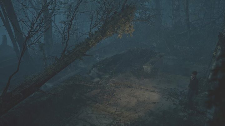 You are back to controlling the main character - The Medium: Nature park Niwa - walkthrough - Walkthrough - The Medium Guide