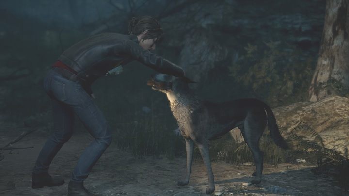 In the short cut-scene, you will meet a dog who will guide you further - The Medium: Nature park Niwa - walkthrough - Walkthrough - The Medium Guide