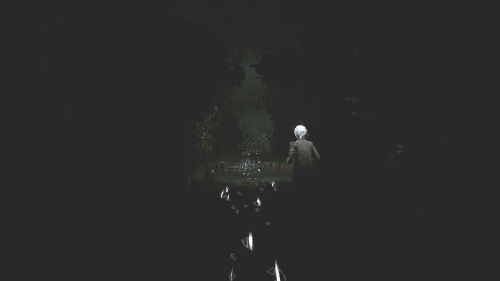 Use insight to make this task easier - The Medium: On the other side of the mirror - walkthrough - Walkthrough - The Medium Guide