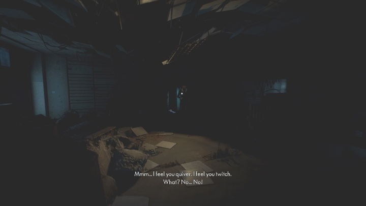 However, we have some not-so-good news for you - The Medium: On the other side of the mirror - walkthrough - Walkthrough - The Medium Guide