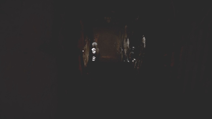 22 - The Medium: On the other side of the mirror - walkthrough - Walkthrough - The Medium Guide