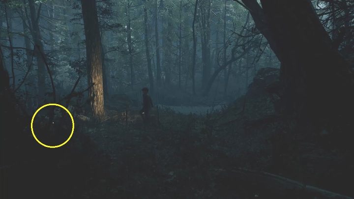 Location: This postcard is in the woods behind the Niwa Resort - The Medium: Postcards - list - Secrets and Collectibles - The Medium Guide