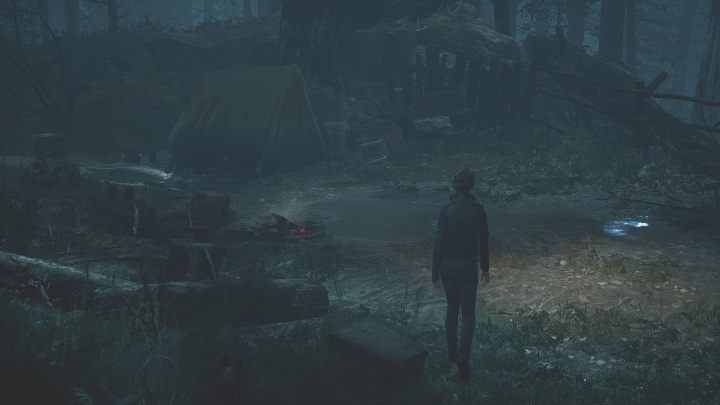 Location: This postcard is in the woods behind the Niwa Resort - The Medium: Postcards - list - Secrets and Collectibles - The Medium Guide