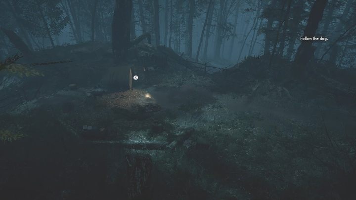 Location: This postcard is in the woods behind the Niwa Resort - The Medium: Postcards - list - Secrets and Collectibles - The Medium Guide