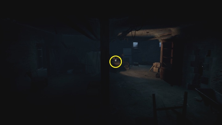 Location: in the basement, in Thomas' house - The Medium: Echoes - list - Secrets and Collectibles - The Medium Guide