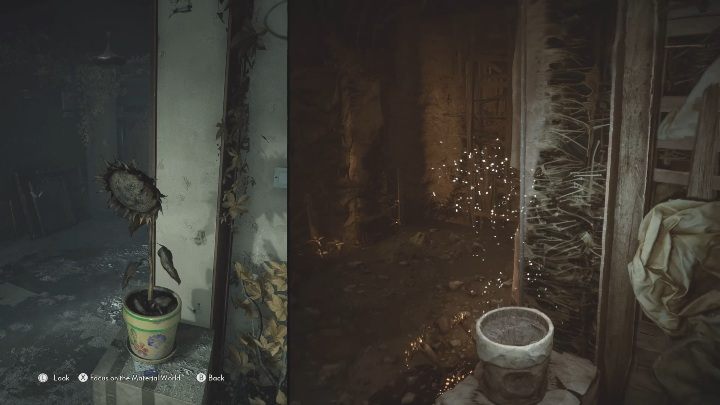 When you reach the room, you will see a dried sunflower - The Medium: Encounter with Sadness - walkthrough - Walkthrough - The Medium Guide