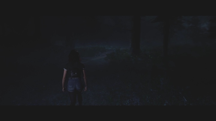 After a game of truth or dare, Abigail will find herself alone in the woods - The Quarry: Chapter 3 - walkthrough - Walkthrough - The Quarry - Game Guide